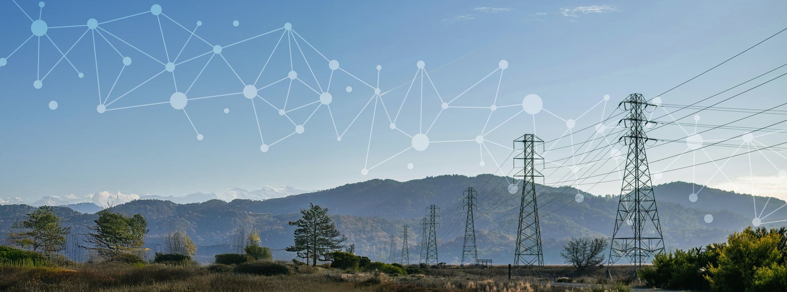 Network Router Solutions